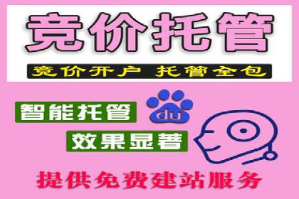 深入了解SEM代运营服务公司的技术实力